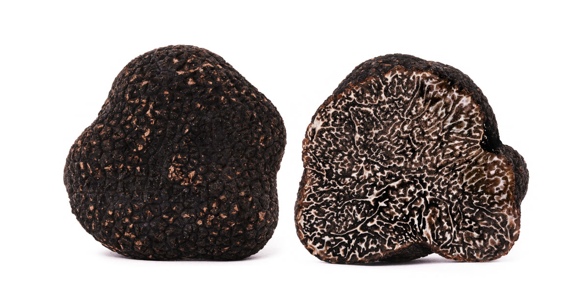 Perigord Trüffel Tuber Melanosporum Wintertrüffel ungeschnitten und geschnitten mit feiner Maserung