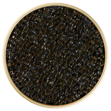 Lade das Bild in den Galerie-Viewer, Royal Black kaviar
