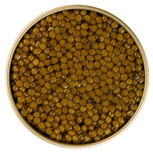 Premium Osstra Kaviar kaufen bei Trüffel Company 