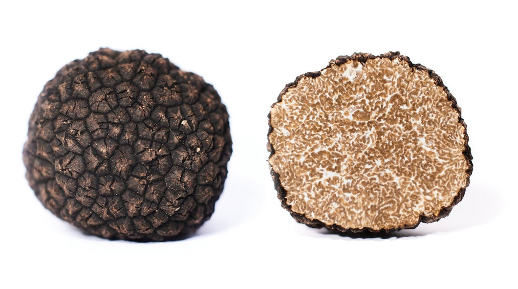 Frische Herbsttrüffel -Tuber Uncinatum
